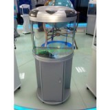 大水族箱与鱼缸系列 探索凯利藏漫阁藏经阁的海洋世界