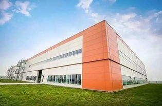 含着金钥匙诞生的拜腾 一场未竟的造车梦